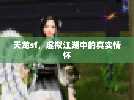 天龙sf，虚拟江湖中的真实情怀