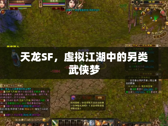 天龙SF，虚拟江湖中的另类武侠梦