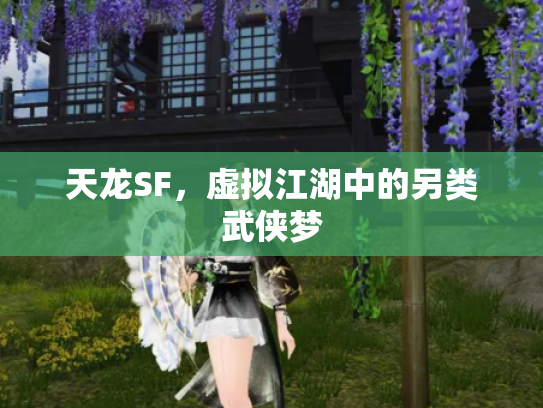 天龙SF，虚拟江湖中的另类武侠梦