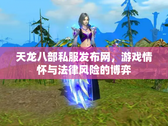 天龙八部私服发布网，游戏情怀与法律风险的博弈