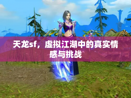 天龙sf，虚拟江湖中的真实情感与挑战