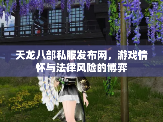 天龙八部私服发布网，游戏情怀与法律风险的博弈
