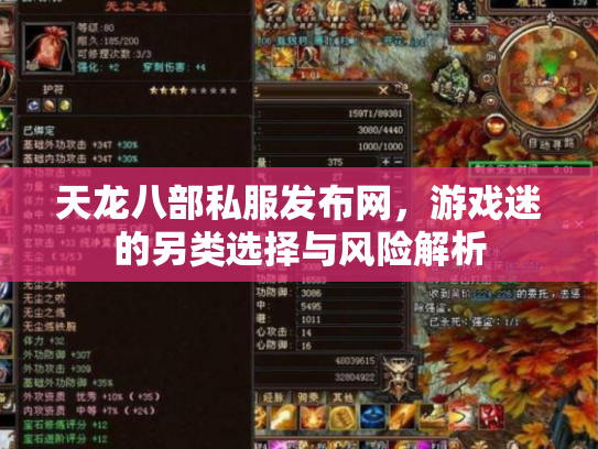 天龙八部私服发布网，游戏迷的另类选择与风险解析