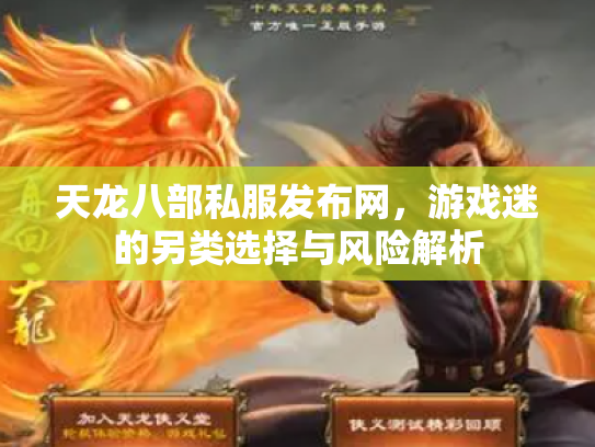 天龙八部私服发布网，游戏迷的另类选择与风险解析