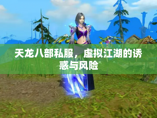 天龙八部私服，虚拟江湖的诱惑与风险