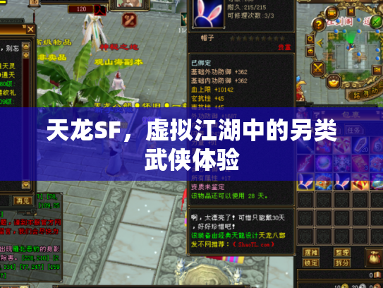 天龙SF，虚拟江湖中的另类武侠体验