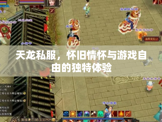 天龙私服，怀旧情怀与游戏自由的独特体验