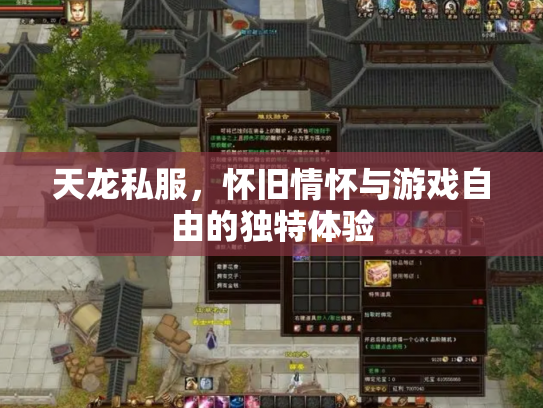 天龙私服，怀旧情怀与游戏自由的独特体验