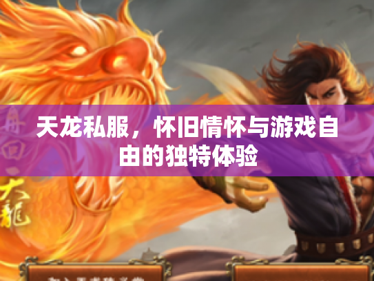 天龙私服，怀旧情怀与游戏自由的独特体验