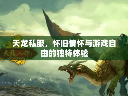 天龙私服，怀旧情怀与游戏自由的独特体验