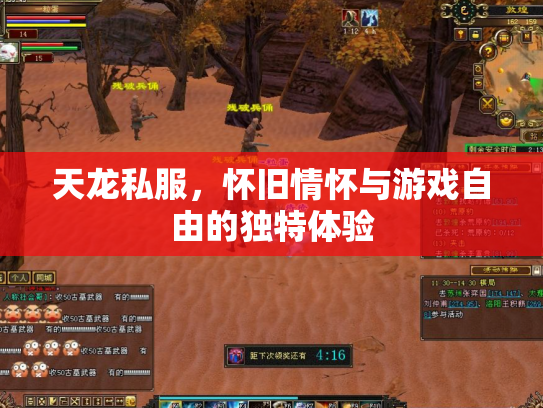天龙私服，怀旧情怀与游戏自由的独特体验
