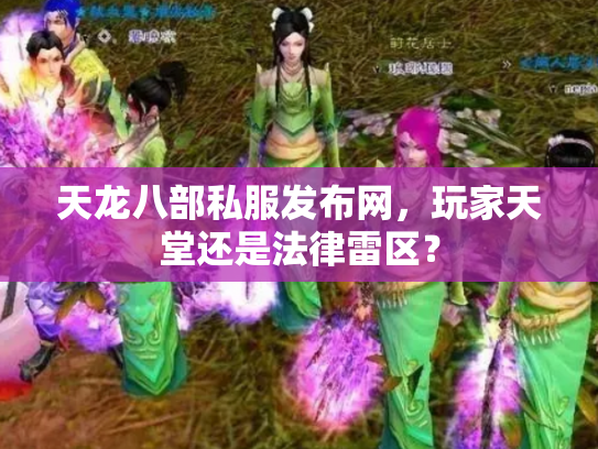 天龙八部私服发布网，玩家天堂还是法律雷区？