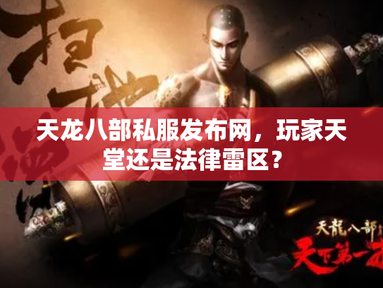天龙八部私服发布网，玩家天堂还是法律雷区？