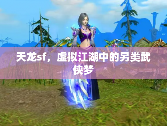 天龙sf，虚拟江湖中的另类武侠梦