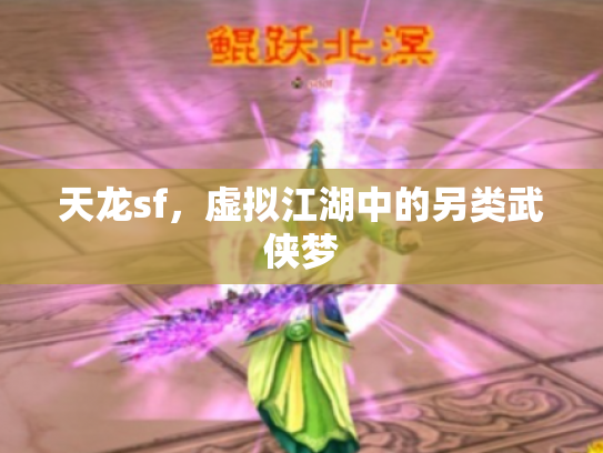 天龙sf，虚拟江湖中的另类武侠梦
