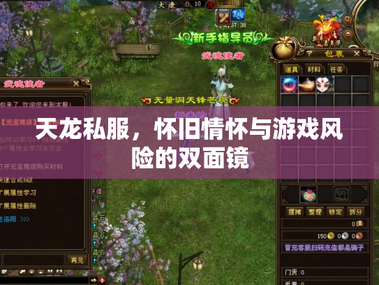 天龙私服，怀旧情怀与游戏风险的双面镜