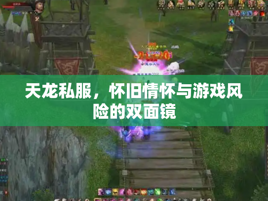 天龙私服，怀旧情怀与游戏风险的双面镜