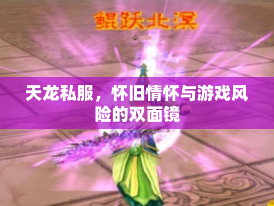 天龙私服，怀旧情怀与游戏风险的双面镜