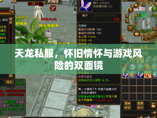 天龙私服，怀旧情怀与游戏风险的双面镜