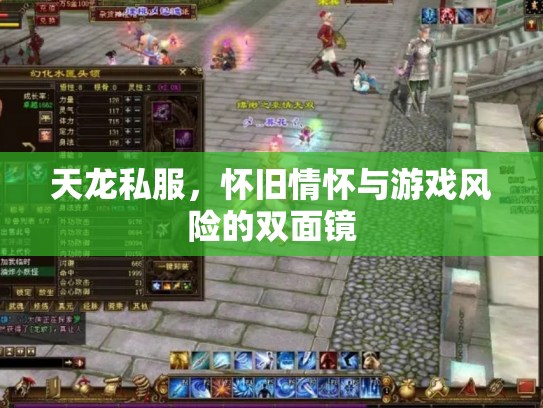 天龙私服，怀旧情怀与游戏风险的双面镜