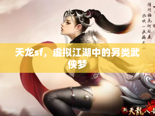 天龙sf，虚拟江湖中的另类武侠梦