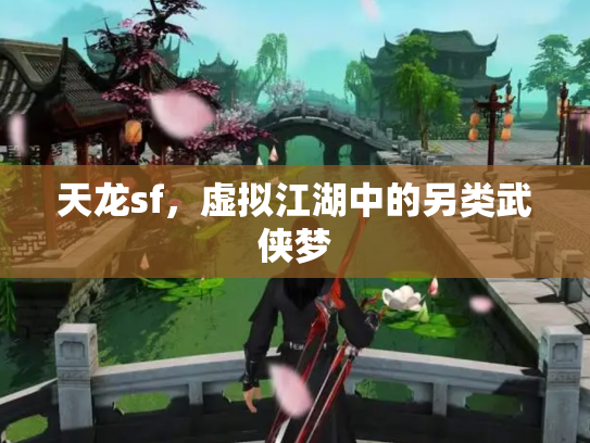 天龙sf，虚拟江湖中的另类武侠梦