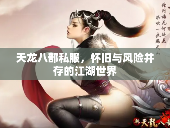天龙八部私服，怀旧与风险并存的江湖世界