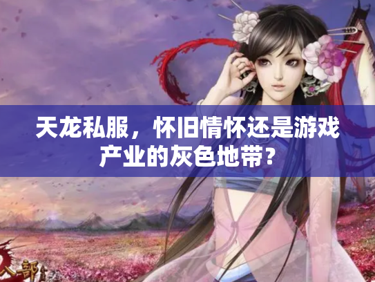 天龙私服，怀旧情怀还是游戏产业的灰色地带？