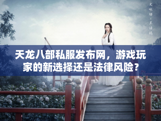 天龙八部私服发布网，游戏玩家的新选择还是法律风险？