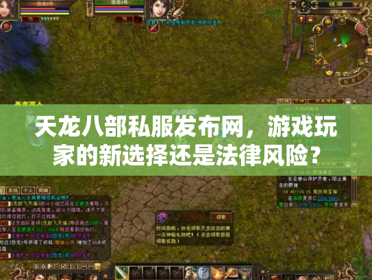 天龙八部私服发布网，游戏玩家的新选择还是法律风险？