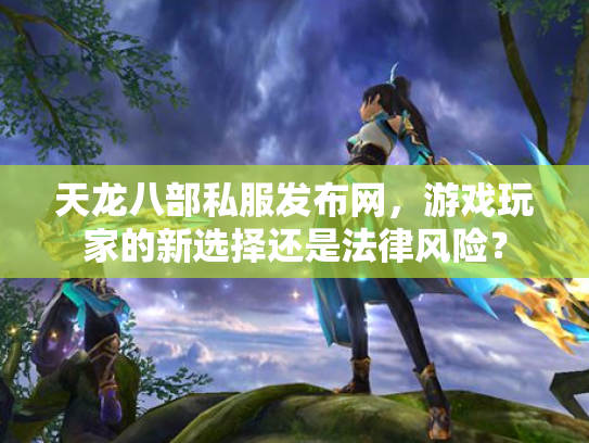 天龙八部私服发布网，游戏玩家的新选择还是法律风险？