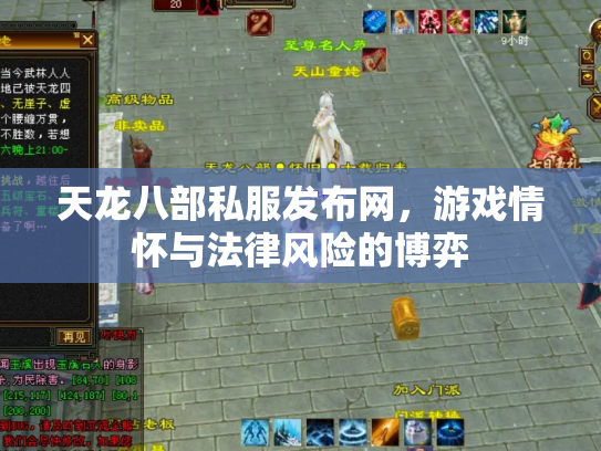 天龙八部私服发布网，游戏情怀与法律风险的博弈