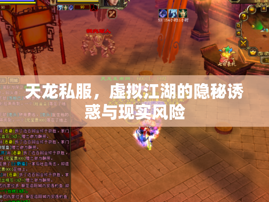 天龙私服，虚拟江湖的隐秘诱惑与现实风险