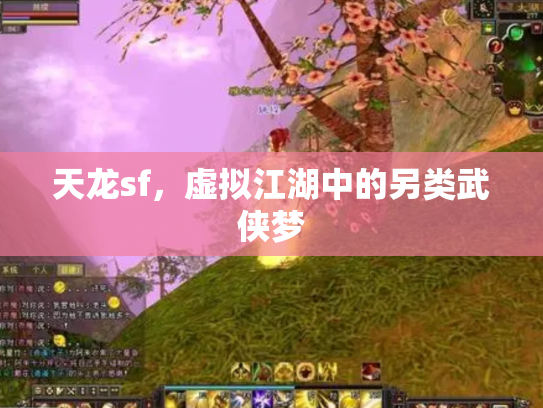 天龙sf，虚拟江湖中的另类武侠梦
