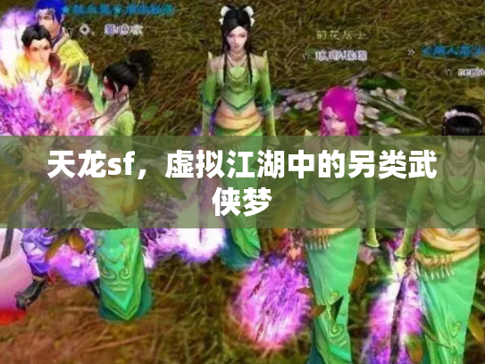 天龙sf，虚拟江湖中的另类武侠梦