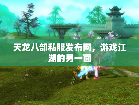 天龙八部私服发布网，游戏江湖的另一面