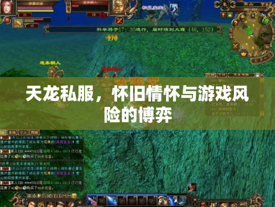 天龙私服，怀旧情怀与游戏风险的博弈