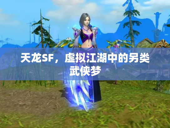 天龙SF，虚拟江湖中的另类武侠梦