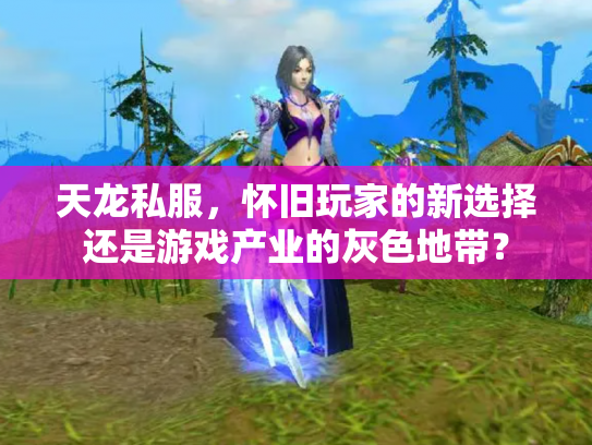 天龙私服，怀旧玩家的新选择还是游戏产业的灰色地带？