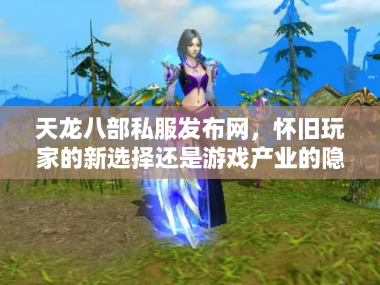 天龙八部私服发布网，怀旧玩家的新选择还是游戏产业的隐患？
