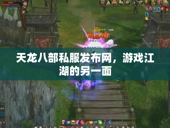 天龙八部私服发布网，游戏江湖的另一面