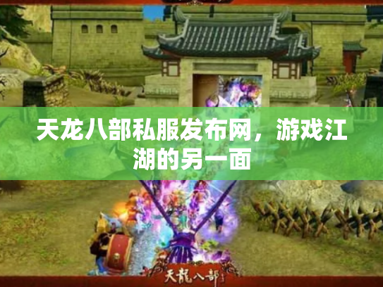 天龙八部私服发布网，游戏江湖的另一面