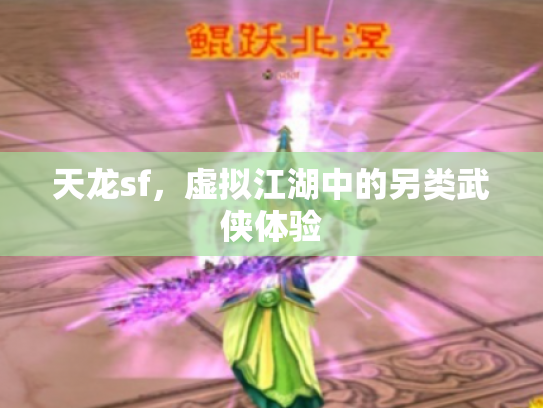 天龙sf，虚拟江湖中的另类武侠体验