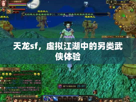 天龙sf，虚拟江湖中的另类武侠体验