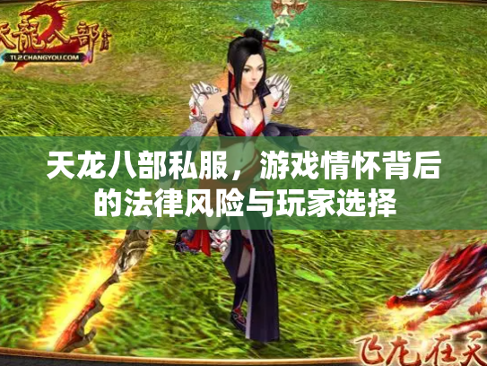 天龙八部私服，游戏情怀背后的法律风险与玩家选择