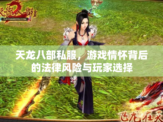 天龙八部私服，游戏情怀背后的法律风险与玩家选择