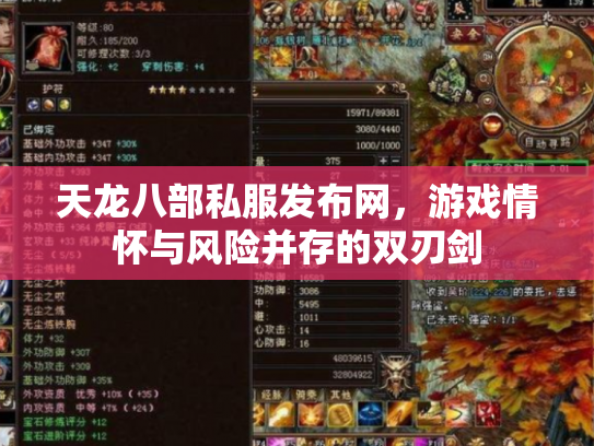 天龙八部私服发布网，游戏情怀与风险并存的双刃剑