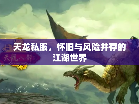天龙私服，怀旧与风险并存的江湖世界
