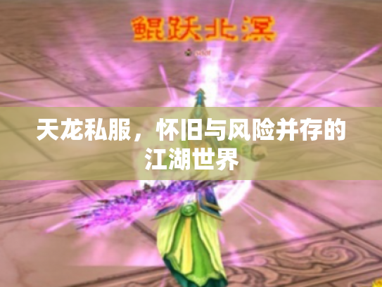 天龙私服，怀旧与风险并存的江湖世界