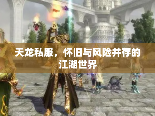 天龙私服，怀旧与风险并存的江湖世界
